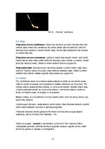 Konspekts 'Badmintona spēle', 13.