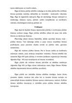 Referāts 'Pilsētas tūrisma attīstības iespējas Rīgā', 9.