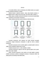 Referāts 'Izjaucamie savienojumi', 3.