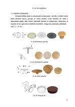 Referāts 'Izjaucamie savienojumi', 11.