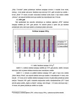 Diplomdarbs '"BT1" organizēto izstāžu un to reklāmas analīze', 68.