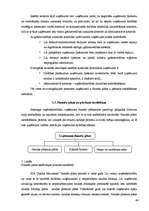 Diplomdarbs 'SIA "Saldus maiznieks" finansiālās stabilitātes izvērtēšana', 42.