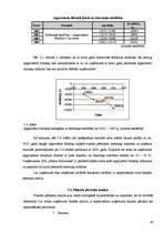 Diplomdarbs 'SIA "Saldus maiznieks" finansiālās stabilitātes izvērtēšana', 46.