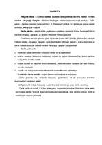 Referāts 'Латышские интерпретации языковых реалий русской культуры в романе Пушкина "Евген', 4.