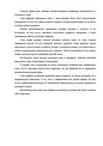 Referāts 'Латышские интерпретации языковых реалий русской культуры в романе Пушкина "Евген', 18.