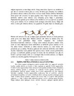 Referāts 'Šķēpmešana un tās attīstība Latvijā', 7.