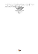 Eseja 'Mans Latvijas karoga stāsts', 3.