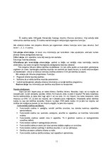 Konspekts 'Konspekts psihofizioloģijā', 11.