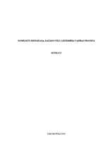 Referāts 'Konfliktu risināšana, dažādo stilu lietderība vadības procesā', 1.