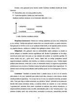 Referāts 'Konfliktu risināšana, dažādo stilu lietderība vadības procesā', 13.