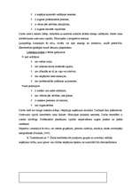 Referāts 'Konfliktu risināšana, dažādo stilu lietderība vadības procesā', 22.