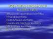 Referāts 'Konfliktu risināšana, dažādo stilu lietderība vadības procesā', 35.