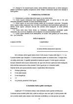 Referāts 'Personālvadība jaunizveidotajā SIA "X"', 18.