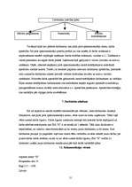 Referāts 'Personālvadība jaunizveidotajā SIA "X"', 21.