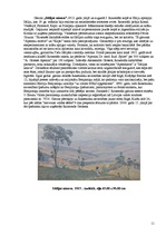 Referāts 'Janis Rozentāls', 11.