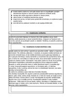 Biznesa plāns 'Biznesa plāns', 2.