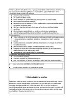 Biznesa plāns 'Biznesa plāns', 7.