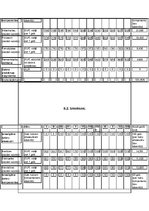 Biznesa plāns 'Biznesa plāns', 10.