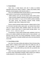 Referāts 'Ubuntu Touch', 13.
