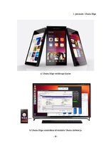 Referāts 'Ubuntu Touch', 20.