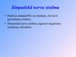 Prezentācija 'Nervu sistēma', 10.