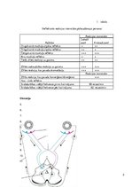 Paraugs 'Refleksi', 2.