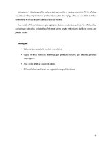 Paraugs 'Refleksi', 5.