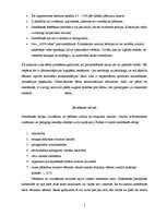 Referāts 'Ko es varu darīt bērnu ar komunikācijas (runas) traucējumiem labā?', 5.