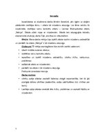 Referāts 'Laimas Muktupāvelas stāsts "Nāriņa" kā mūsdienu atspulgs', 3.