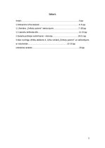 Referāts 'Karavīru dzīves atainojums Aleksandra Grīna romānā "Dvēseļu putenis"', 2.