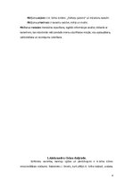 Referāts 'Karavīru dzīves atainojums Aleksandra Grīna romānā "Dvēseļu putenis"', 4.