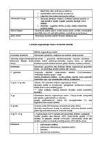 Konspekts 'Pedagoģijas vēsture', 7.