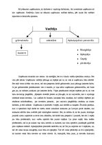 Biznesa plāns 'SIA "Pizza"', 4.