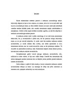 Eseja 'Ienākumu sadales problēmas Latvijā mūsdienās', 2.