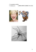 Referāts 'Fobijas, to izpēte', 30.