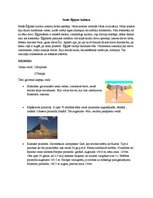 Konspekts 'Senās Ēģiptes kultūra', 1.