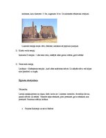 Konspekts 'Senās Ēģiptes kultūra', 3.