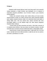 Referāts 'Zemes lietojumu analīze un novērtēšana', 17.