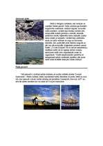 Konspekts 'Nafta', 3.