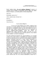 Eseja 'Tu esi Latvijas dārgums', 1.