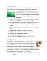 Konspekts 'Ķīna', 2.