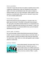 Konspekts 'Ķīna', 4.