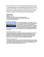 Konspekts 'Ķīna', 8.