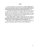 Referāts 'Miegs un nomods, tā regulācija', 19.