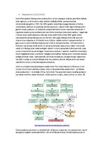 Referāts 'Baltijas jūras piesārņojums', 5.