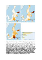 Referāts 'Baltijas jūras piesārņojums', 9.