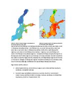 Referāts 'Baltijas jūras piesārņojums', 13.