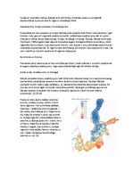 Referāts 'Baltijas jūras piesārņojums', 19.