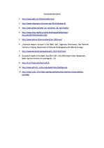 Referāts 'Baltijas jūras piesārņojums', 20.