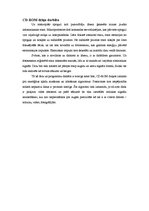 Referāts 'CD-ROM darbības princips', 7.